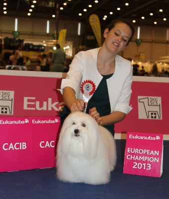 Du haut marais - EUROPEAN DOG SHOW !!!