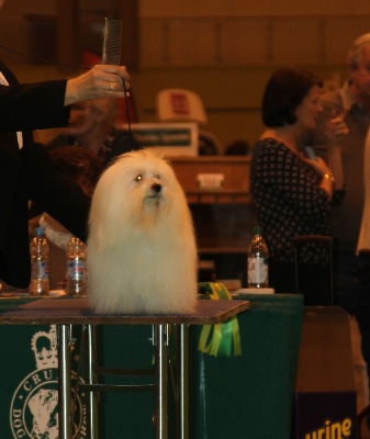 Du haut marais - CRUFTS 