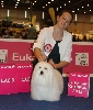  - EUROPEAN DOG SHOW !!!